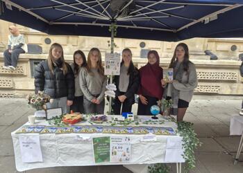 Story and Sprout Young Enterprise Market